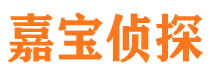 拜城寻人公司